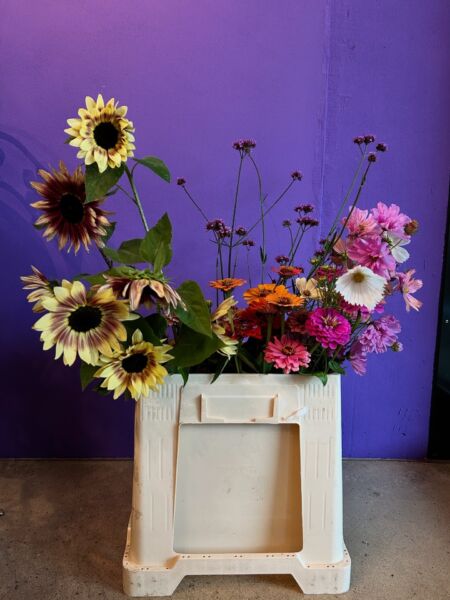 F176 C91 C FE4 D 4722 9 F29 6 E1923410 DE1